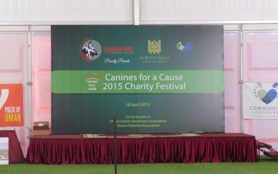 Canines for a Cause 2015 Charity Festival