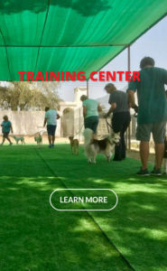 training-center