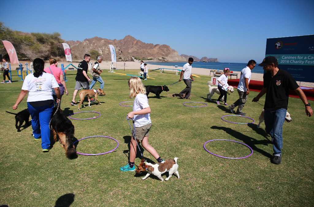 Canines For A Cause (Videos)