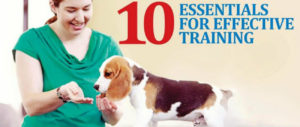10-essentials-for-effective-training