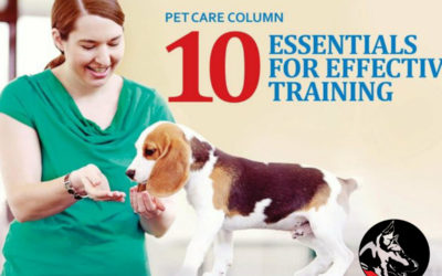 10 Essentials For Effective Training