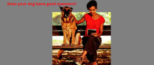does-your-dog-have-good-manners