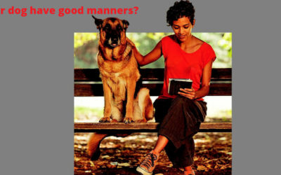 Does your dog have good manners?