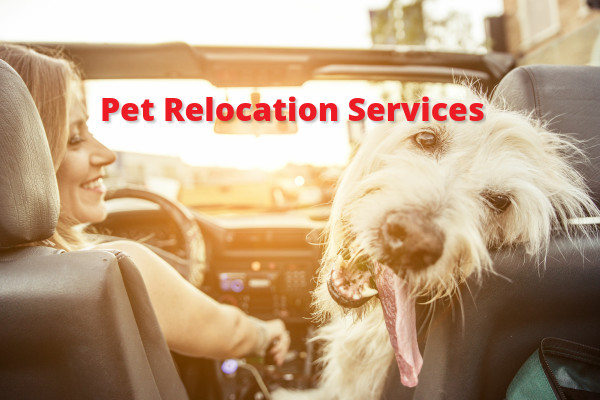 Pet Relocation Services