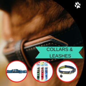 Collars And Leashes