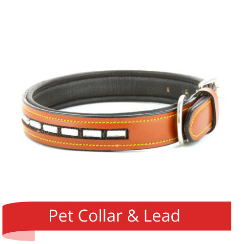 Arabian Canine Pet Collar & Lead