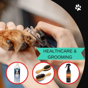 Healthcare And Grooming