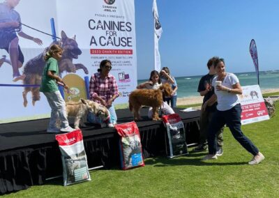 canines for a cause