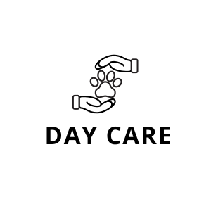 DAY CARE