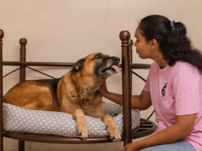 Dogs Like To Lick Us